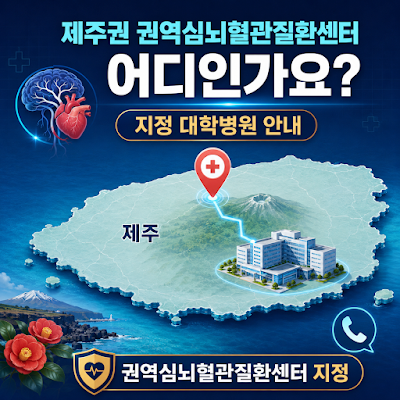 2026 제주권 권역심뇌혈관질환센터는 어디인가요?｜지정 대학병원 안내