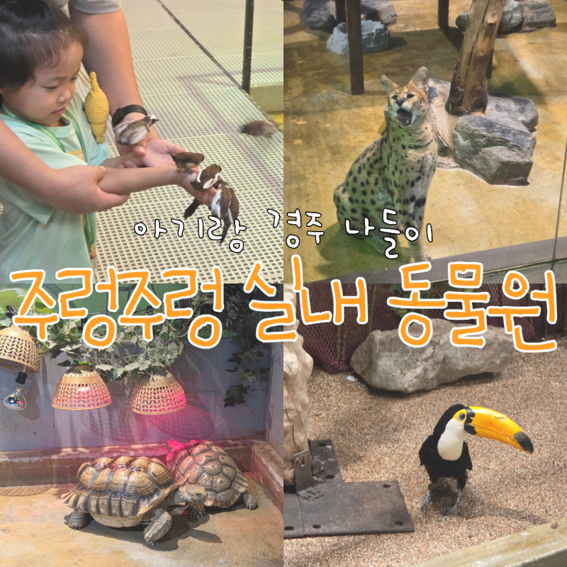 경주 아기랑 가볼 만한 곳 주렁주렁 실내 동물원 13개월 아기랑 방문 후기(주차, 요금, 수유실....