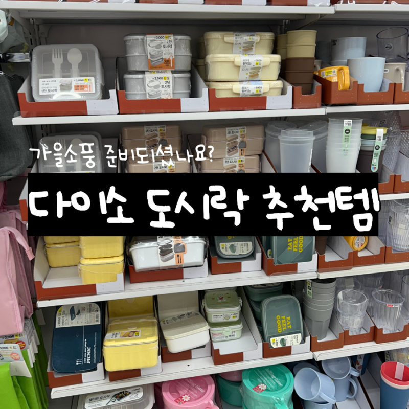 다이소 도시락 추천 | 가을소풍 도시락 준비 추천템