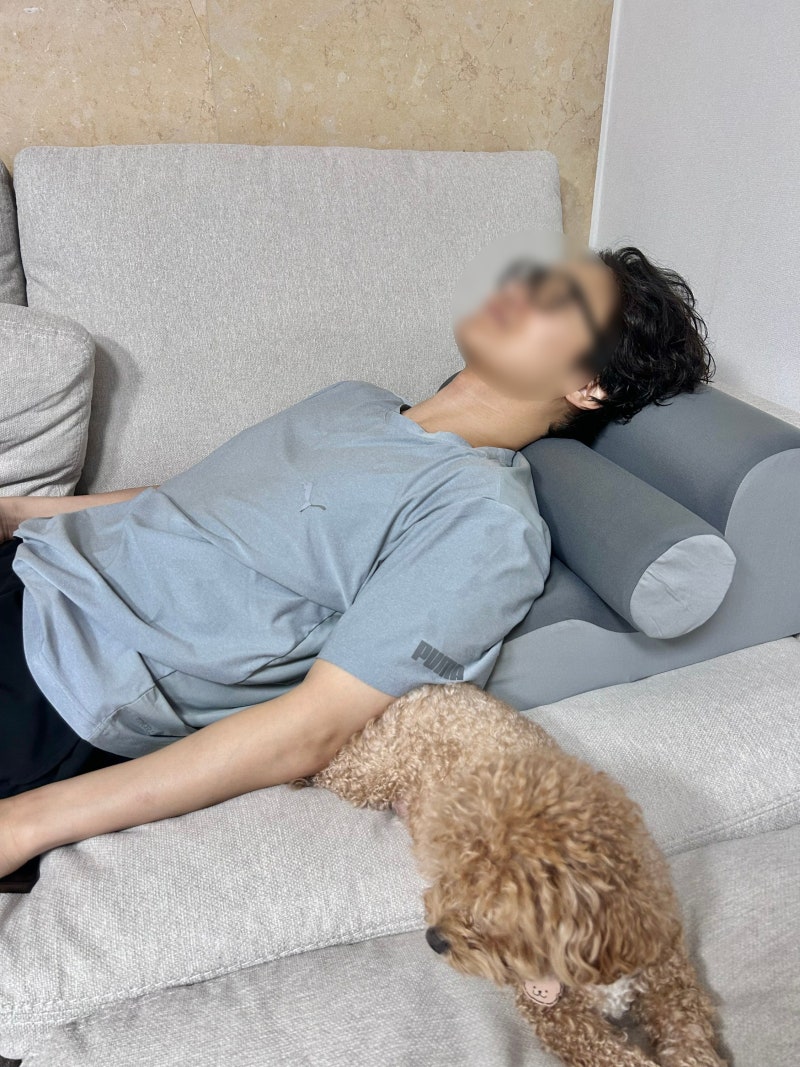 역류성식도염 소화가잘되는베개 추천 속케어베개 옆으로자는베개 임산부 부모님 선물 추천