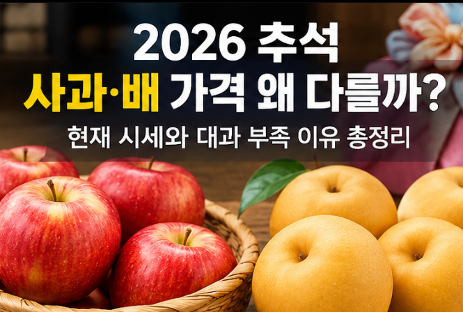 2026 추석 사과·배 가격 왜 다를까? 현재 시세와 대과 부족 이유 총정리