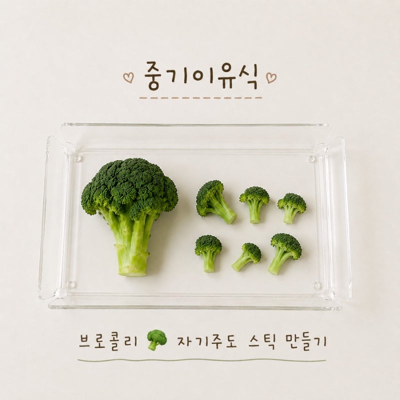 [이유식일기] 중기 이유식 자기주도 연습 시작-! 브로콜리 스틱 만들기 / 퍼기찜기