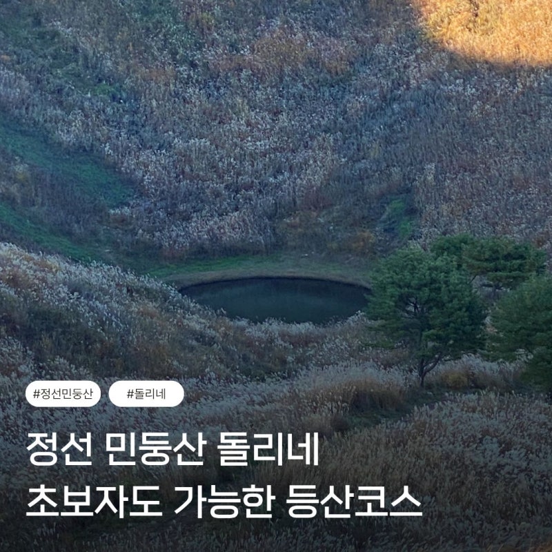 정선 민둥산 돌리네 억새 축제 시기 초보자도 갈 수 있는 등산 코스