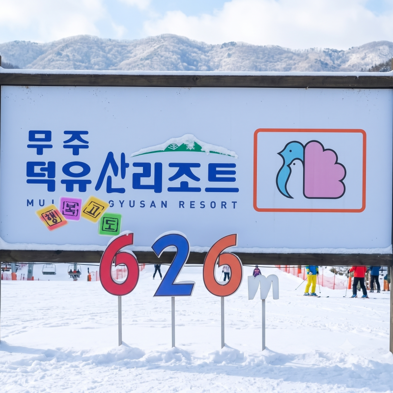 ※겨울 스키 천국- 무주덕유산리조트 콘도회원권 종류별 혜택 부터 2026년 9월 거래시세 정보 ....