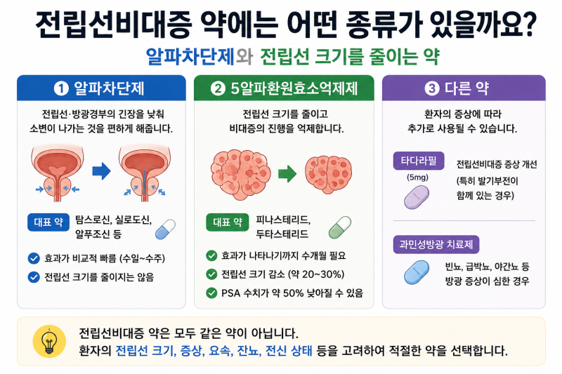 전립선비대증 약에는 어떤 종류가 있을까요?｜알파차단제와 전립선 크기를 줄이는 약
