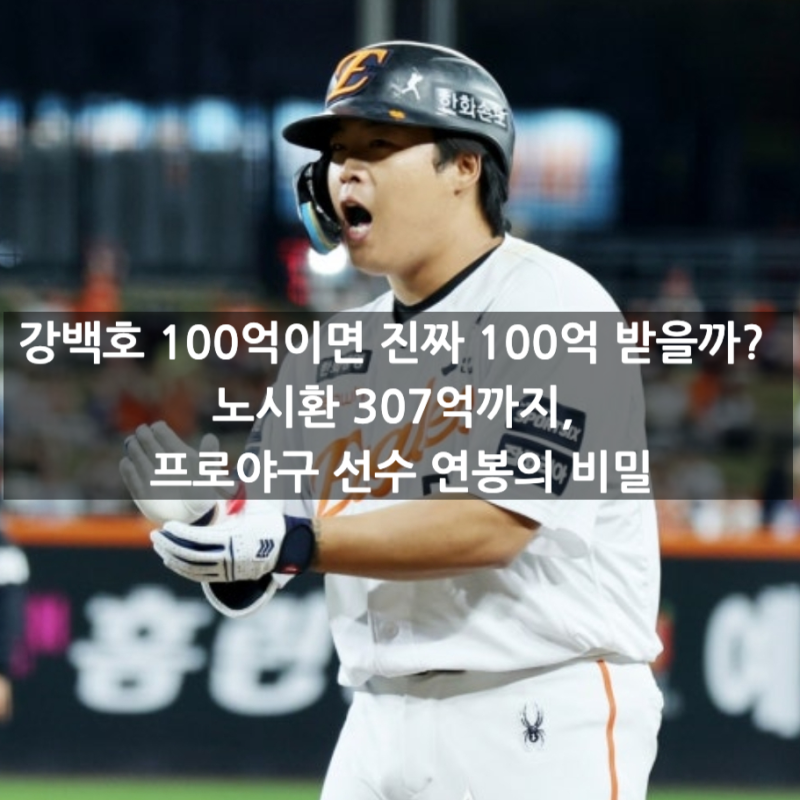강백호 100억이면 진짜 100억 받을까? 노시환 307억까지, 프로야구 선수 연봉의 비밀