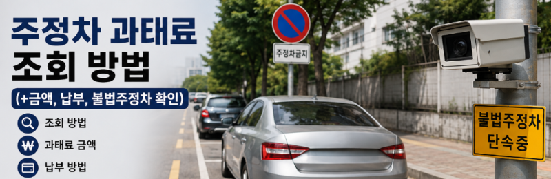 주정차 과태료 조회 방법 (+금액, 납부, 불법주정차 확인)