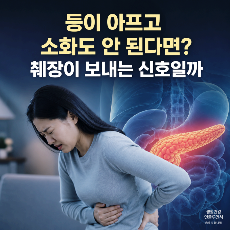등통증, 소화불량 췌장 신호? 복부CT로 췌장암, 대장 질환 발견 가능한 이유