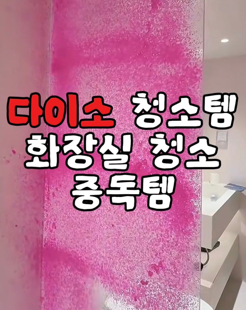 다이소 화장실 청소 폼 나혼산 청소템 리뷰 추천템 , 욕실 청소할 때 써본 가성비 청소 꿀템