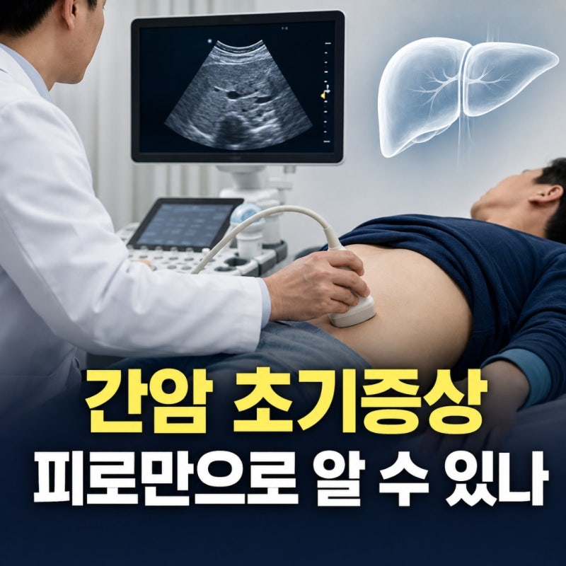간암 초기증상, 피로·소화불량만으로 알 수 있을까? 고위험군 6개월 검진 기준