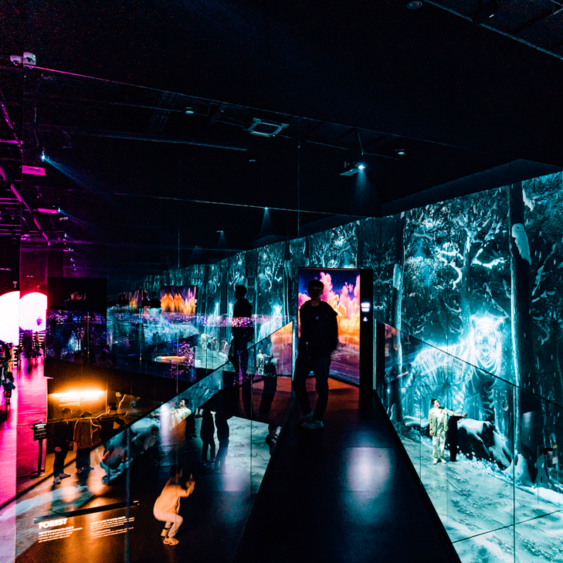 Recommended Indoor Activities and Date Spots in Gangneung, Gangwon-do