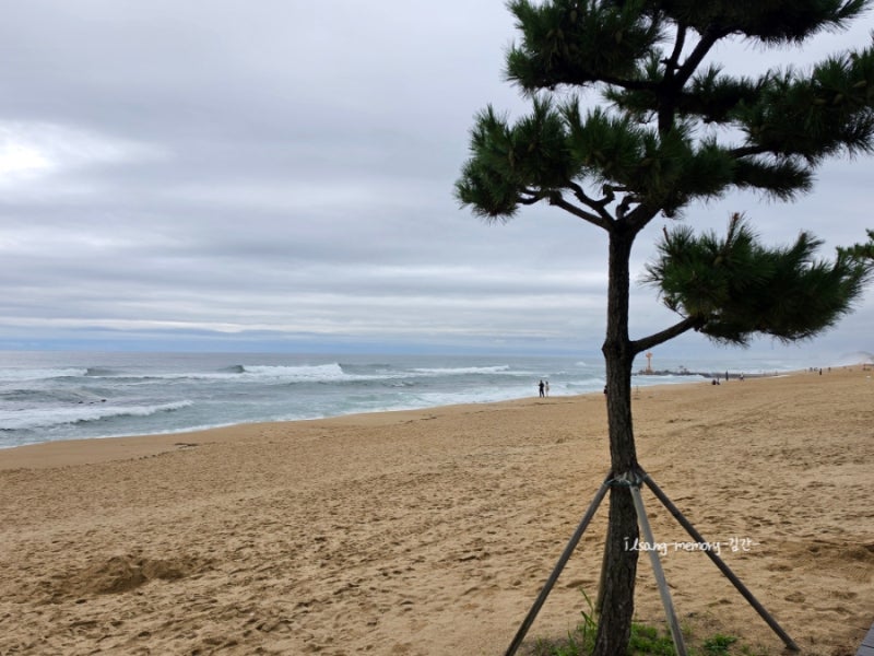 비 오는 날 가볼 만한 강릉 해수욕장, 9월의 강문해변 여행 코스