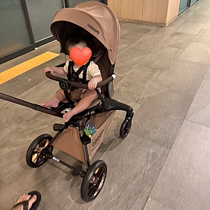 올보르 앨빈 트라이크 디럭스 브라운 휴대용유모차 추천!