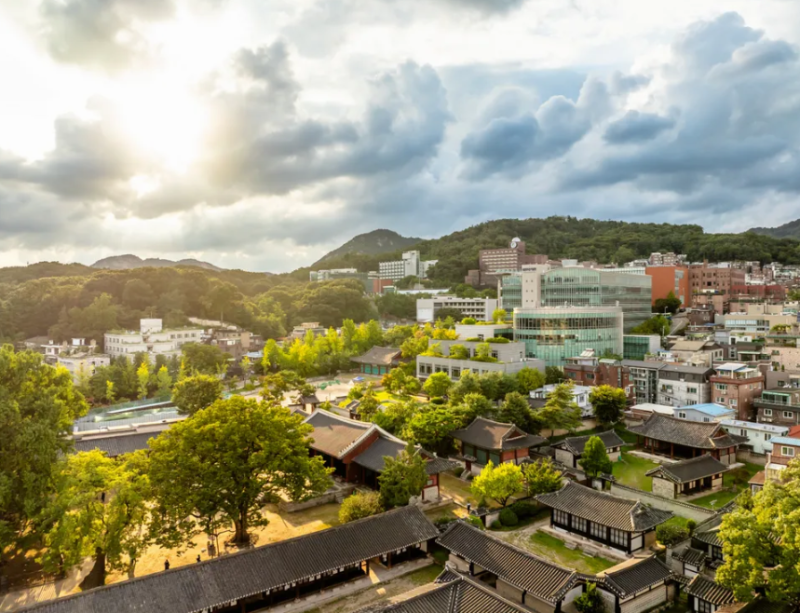 자취방 공간 활용의 끝판왕, 압축봉 활용 솔직 후기