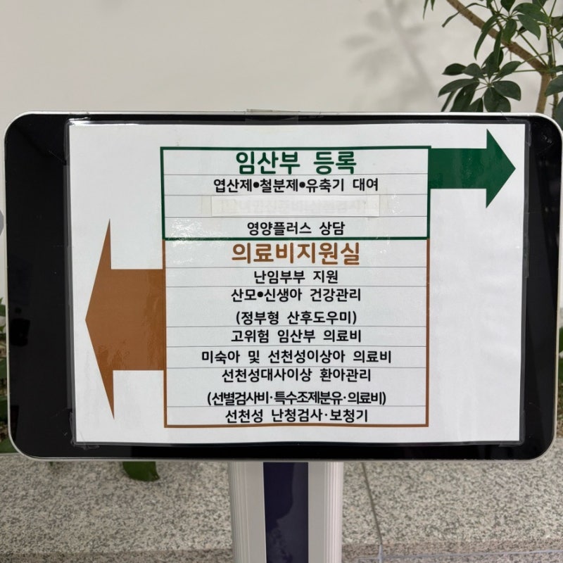 송파구 사실혼 난임시술 의료비 지원 신청 후기, 난임 진단서는 나중에 제출 가능! (지원 금....