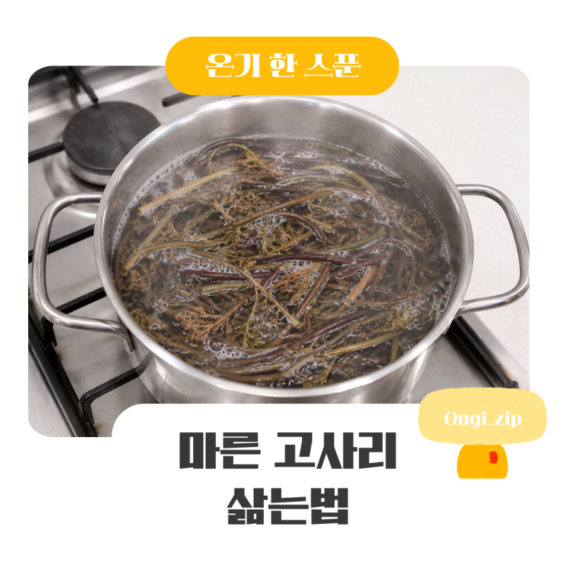 마른 고사리 삶는법 불리는 시간부터 부드럽게 삶는 시간까지