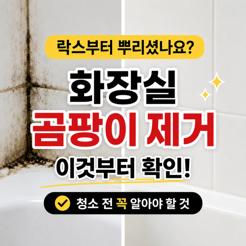 화장실 곰팡이 제거, 락스부터 뿌리셨나요? 청소 전 꼭 알아야 할 것