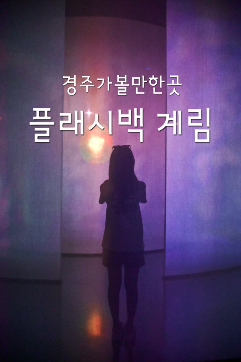 경주 플래시백 계림 완벽 가이드ㅣ 주차 & 할인 정보