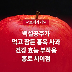 백설공주가 먹고 잠든 홍옥 사과 건강 효능 부작용 홍로 차이점