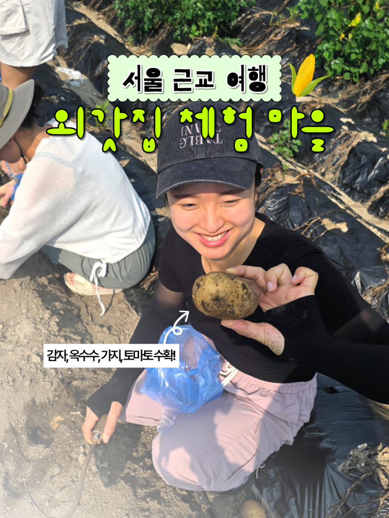 서울 근교 특별한 이색 체험 양평 '외갓집체험마을'