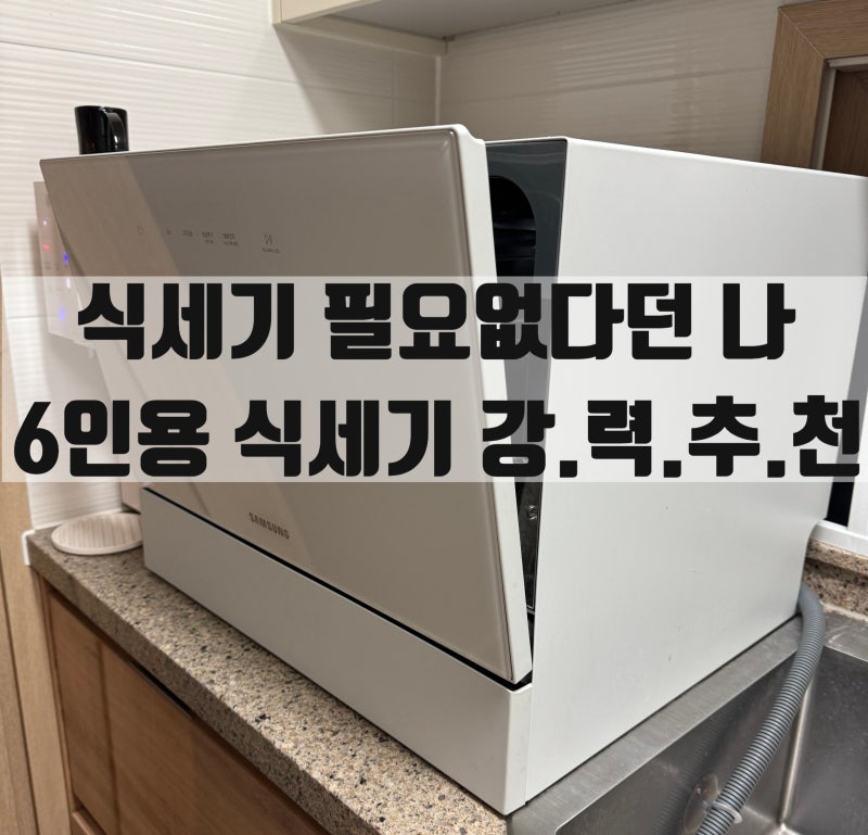 식기세척기 추천 ㅣ 내돈내산 삼성 비스포크 6인용 식기세척기 최저가 구매 팁 후기 (+사용설....