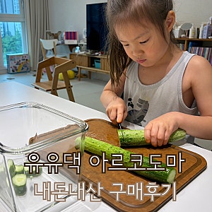 유유댁도마 공구 내돈내산 네오플램 아르코도마 실사용기