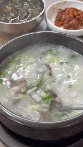 포항 육회비빔밥 & 소머리곰탕 맛집 오천 해병대 근처 '팬더곰탕'
