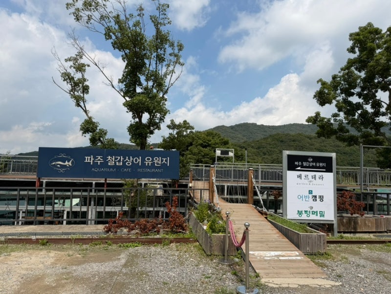 파주 마장호수 카페 '베르테라'｜아이랑 가기 좋은 곳, 철갑상어부터 닥터피쉬까지