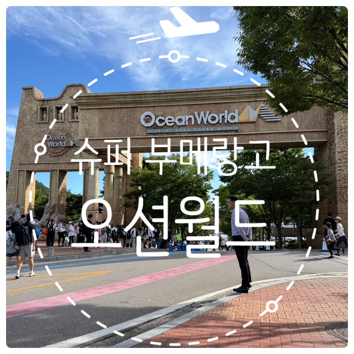 강원도 홍천에 위치한 오션월드 각종 꿀팁 모음