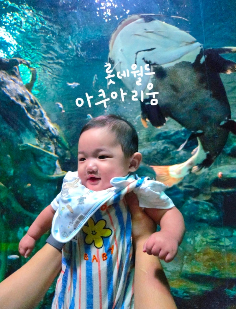 帶著5個月大的寶寶去蠶室樂天世界水族館，這個時期去的理由