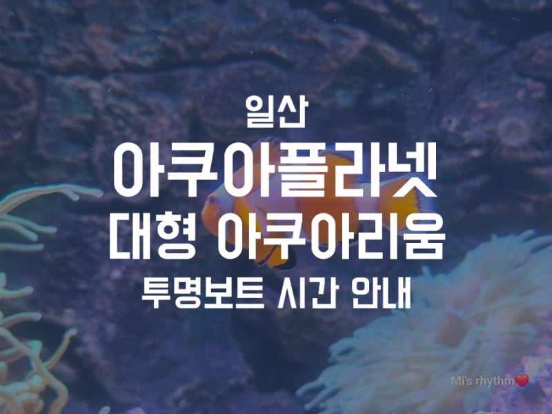 일산 아쿠아플라넷 대형아쿠아리움 투명보트 시간 안내