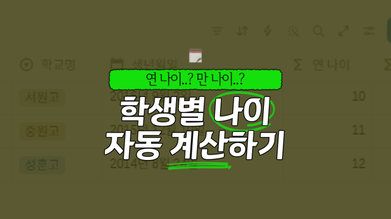 노션 나이 계산 방법(연 나이 or 만 나이)