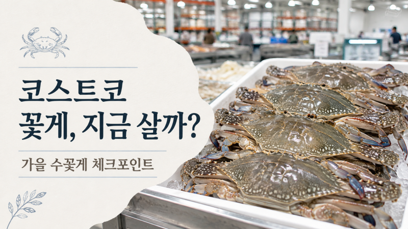 코스트코 꽃게 지금 살까? 가을 수꽃게 가격보다 먼저 볼 것
