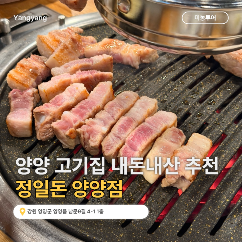 양양고기집 정일돈 현지에서 재방문하는 삼겹살 맛집