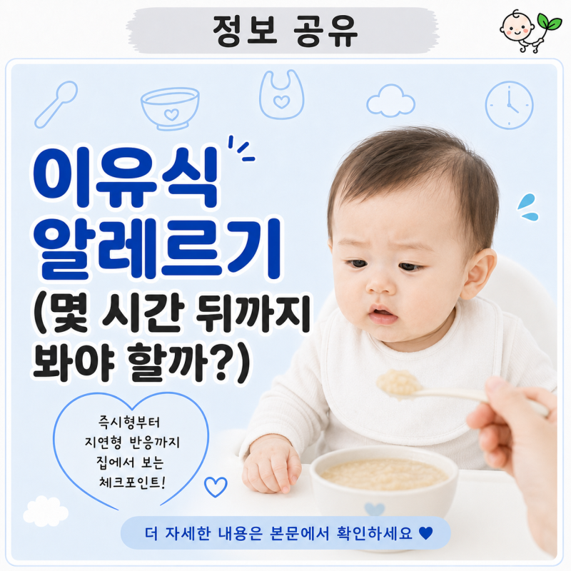 이유식 알레르기, 몇 시간 뒤까지 봐야 할까? | 즉시형·지연형 증상 구분