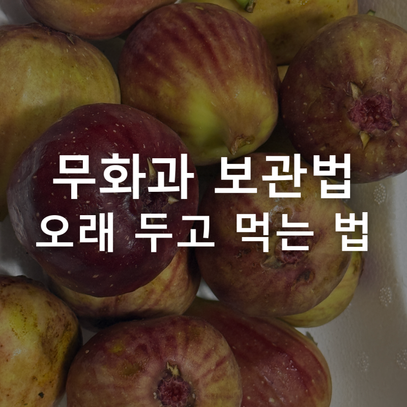 무화과 보관법 — 냉장·냉동·고르는 법 총정리