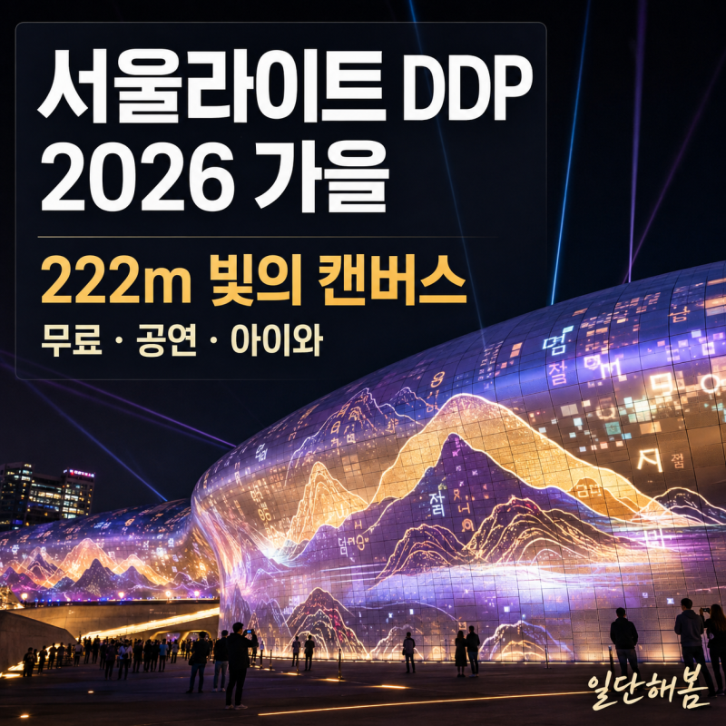 서울라이트 DDP 2026 가을｜시간·무료 관람·공연 일정·아이와 가기 총정리
