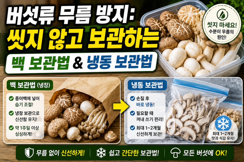 버섯류 무름 방지, 씻지 않고 보관하는 백 및 냉동 보관법
