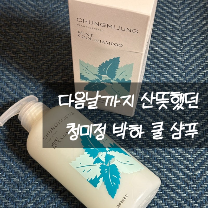 청미정 박하 쿨 샴푸 떡짐 고민에 시원한 두피 쿨링 케어