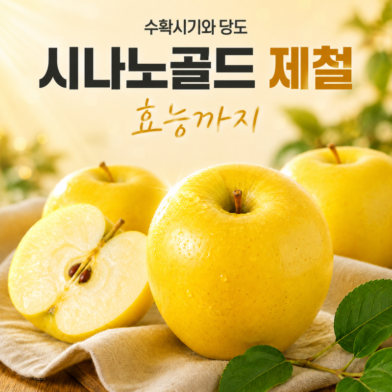 시나노골드 제철 수확시기 맛 당도 효능