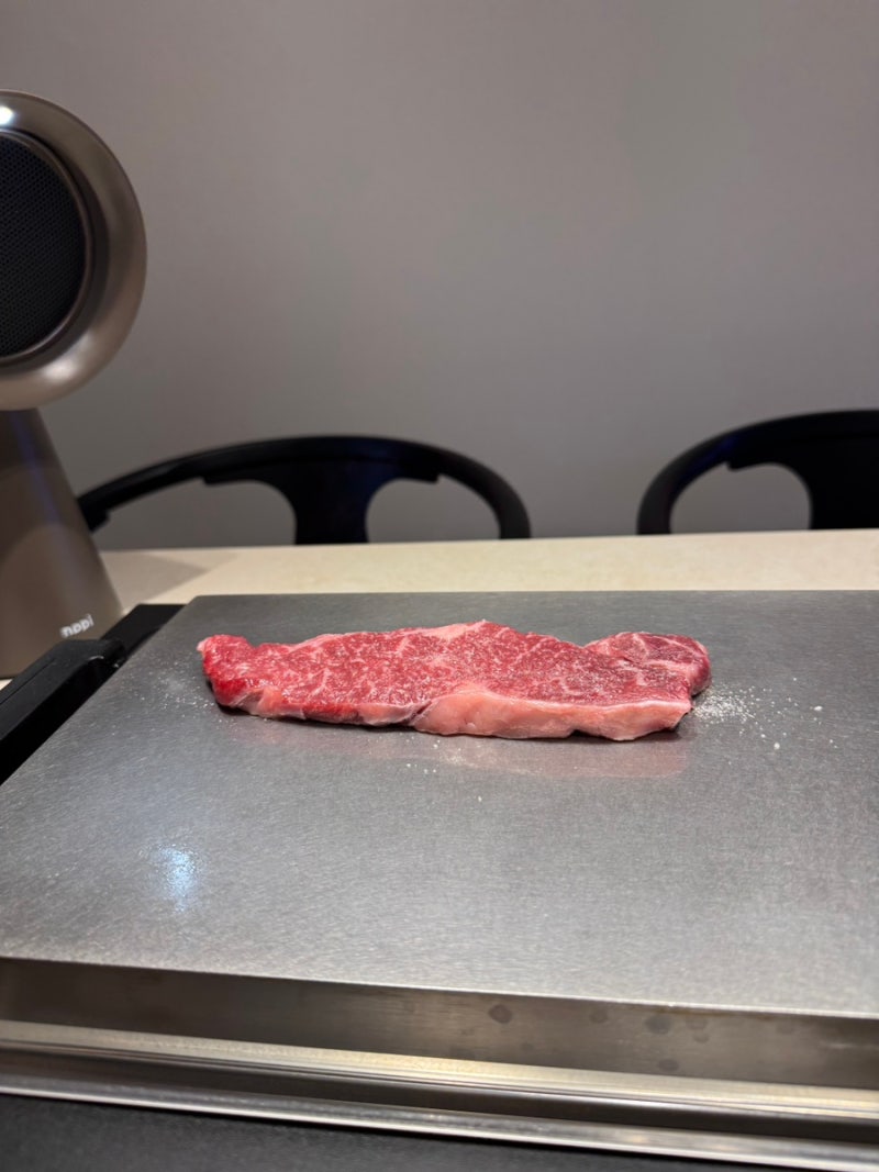 발뮤다 더 플레이트 롱텀 사용기