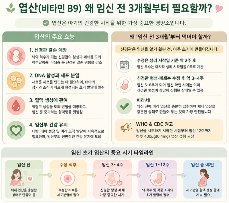 [임신 준비 및 성공을 위한 꿀팁] 1. 영양제 복용 (솔가 엽산)