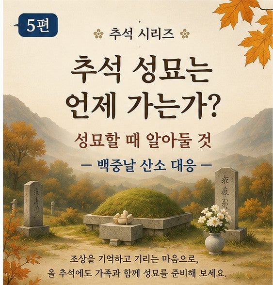 5️⃣ 추석 성묘는 언제 가는가? 성묘할 때 알아둘 것은 무엇일까요?