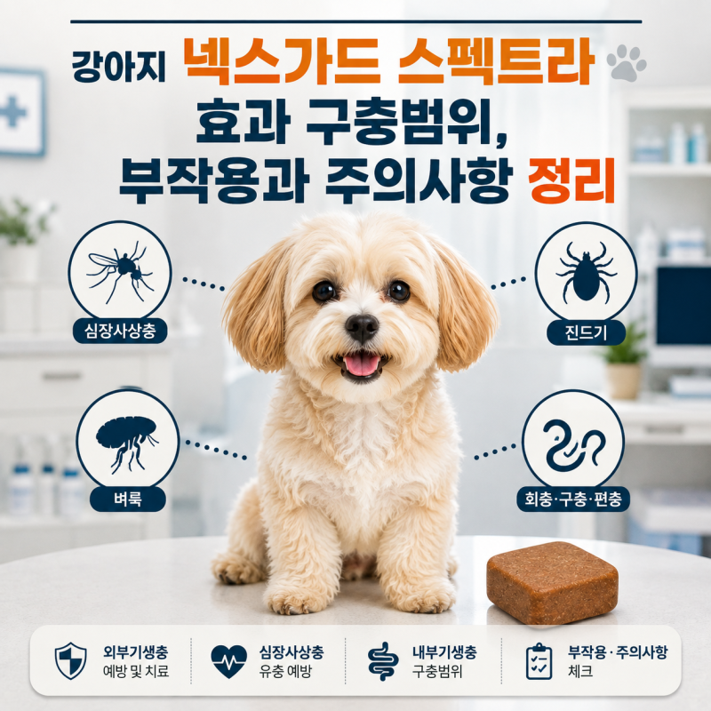 강아지 넥스가드 스펙트라 효과 구충범위, 부작용과 주의사항 정리