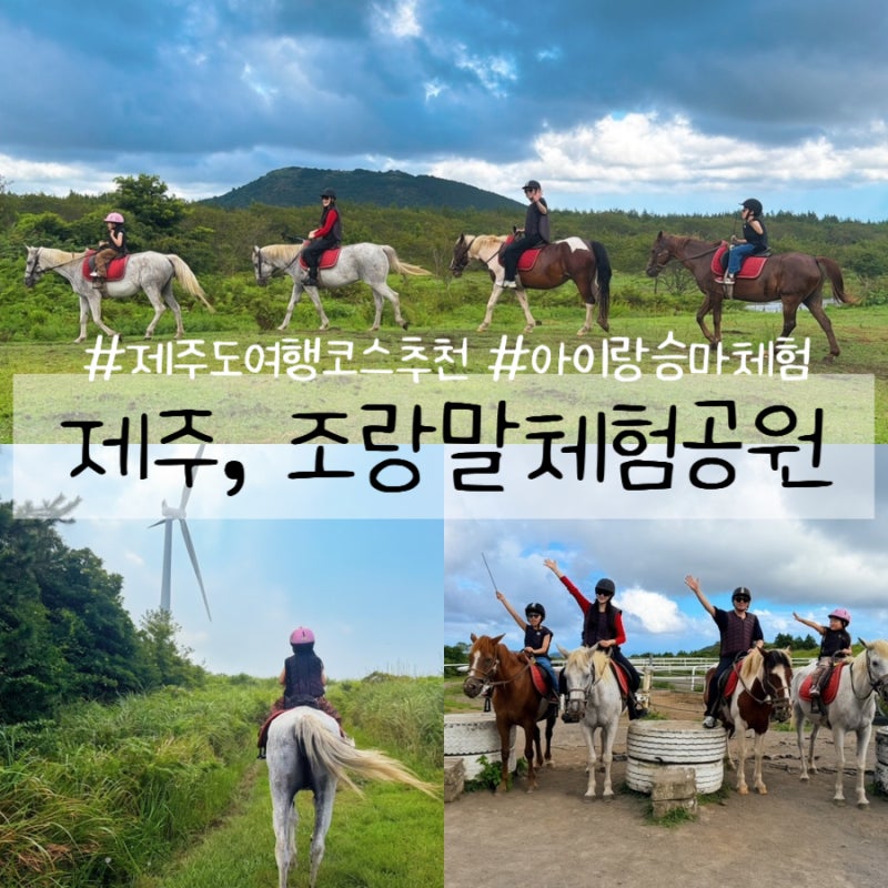 아이랑 제주도 여행코스 추천, 제주도 승마체험과 말 먹이주기체험, 조랑말체험공원