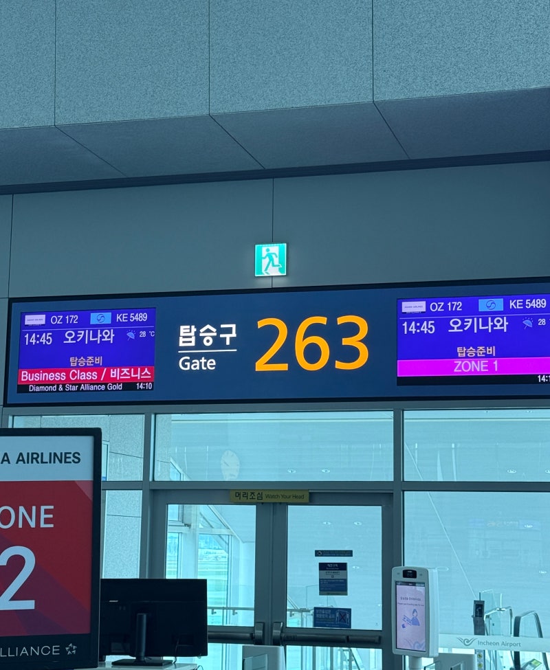아이들과 오키나와 4박5일 여행 (1) | 라젠트호텔, 그랜드 머큐어 잔파 리조트 올인클루시브 | ....