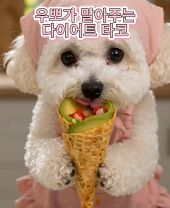 다이어트 타코 레시피