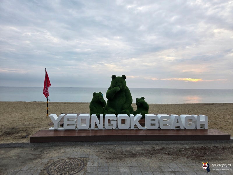 Yeongok Beach Solhyanggi Campground / Gangneung Campsite Yeongok Beach