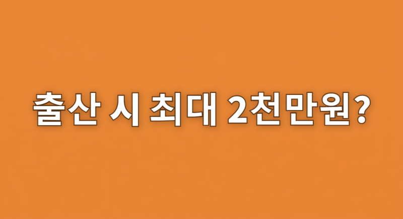 혼인지원금 100만원과 아이 낳으면 최대 2000만원인 출산지원금 신청 방법 및 재혼 돈관리 재....