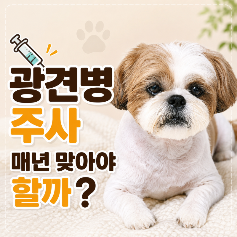 강아지 광견병 주사 필수? 비용, 주기, 접종 확인서